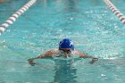 Swimming vs Babson  Wheaton College Swimming vs Babson College. - Photo By: KEITH NORDSTROM : Wheaton, Swimming, Babson